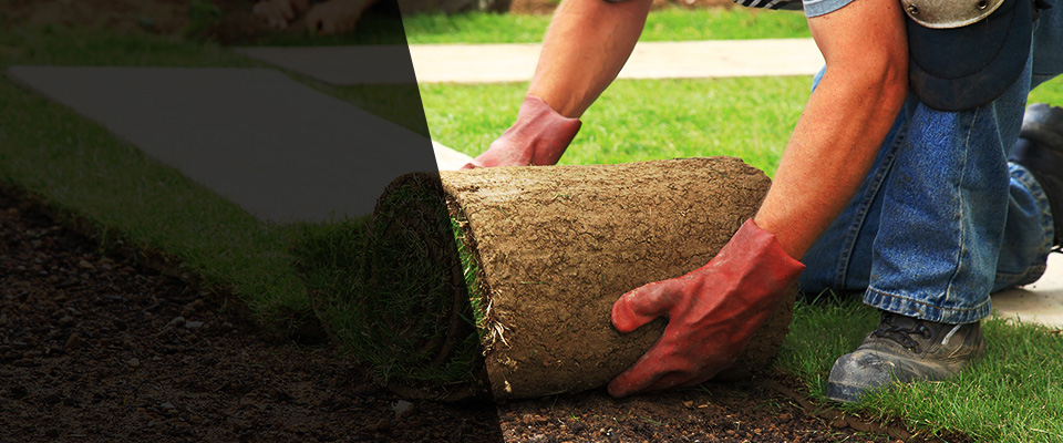 Hanahan Landscapers